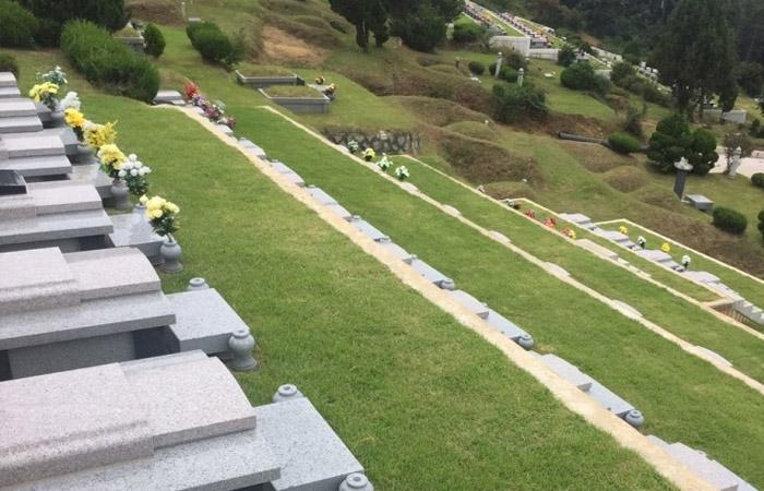 일산납골묘,봉안묘